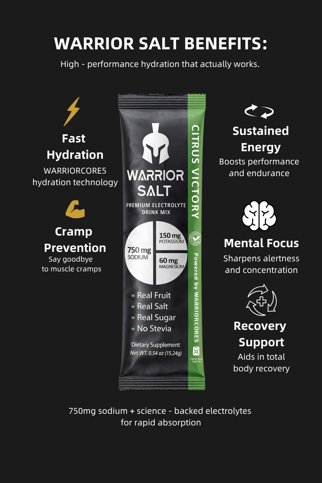 Electrolytes Without Stevia | Warrior Salt Hydration Powder